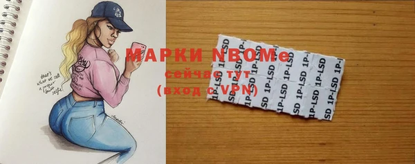 индика Кулебаки