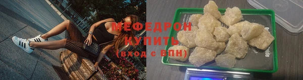 индика Кулебаки