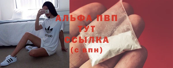 индика Кукмор