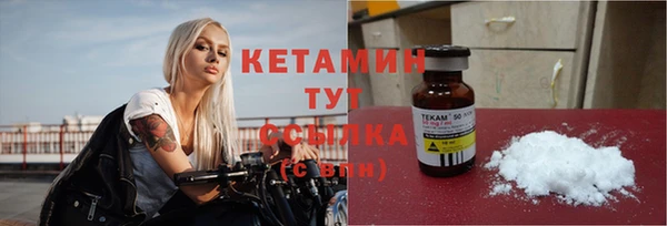 индика Кулебаки