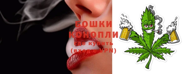 индика Кулебаки