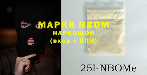 индика Кулебаки
