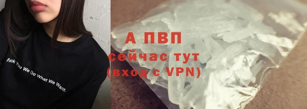индика Кукмор
