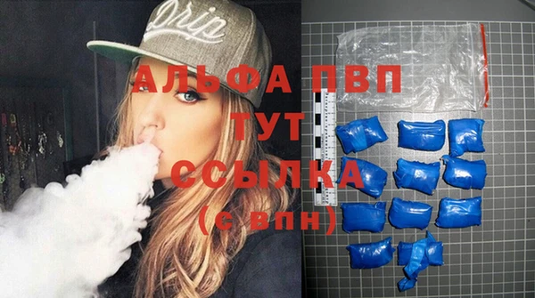 индика Кулебаки