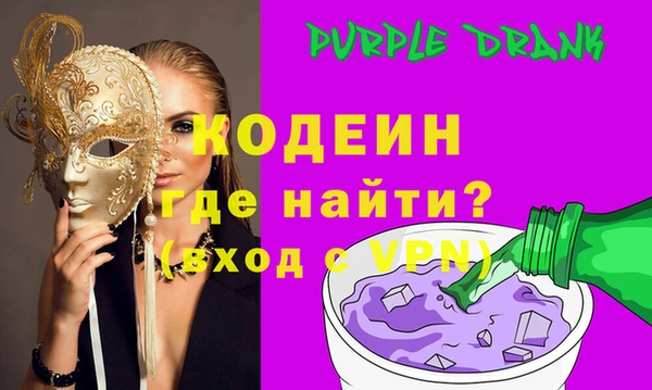 индика Кулебаки