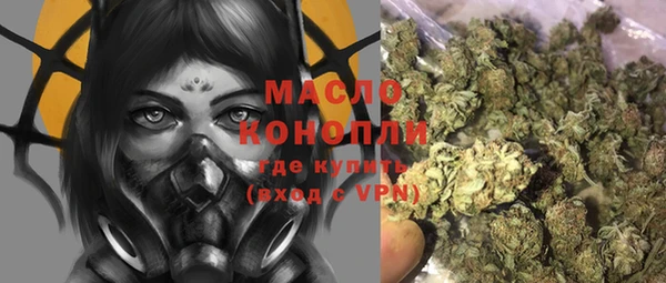 индика Кулебаки