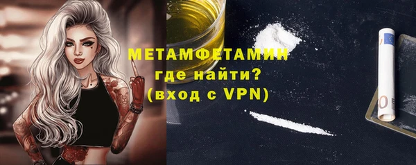 индика Кулебаки