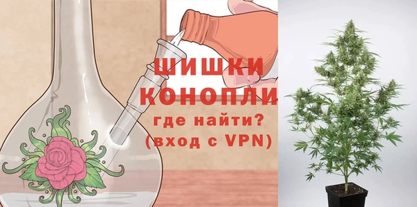 индика Кулебаки