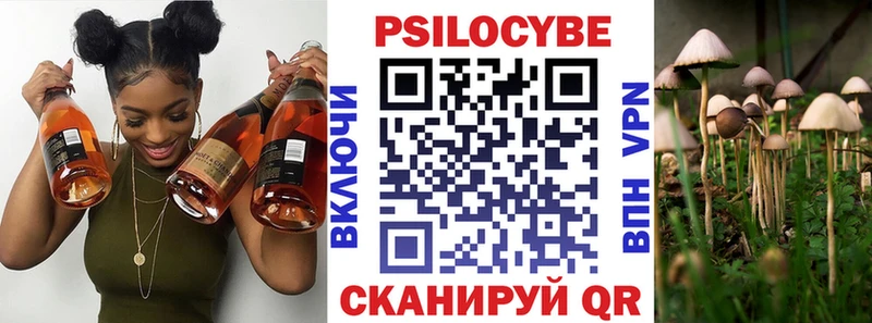 Псилоцибиновые грибы MAGIC MUSHROOMS  Купить закладки  Пролетарск 